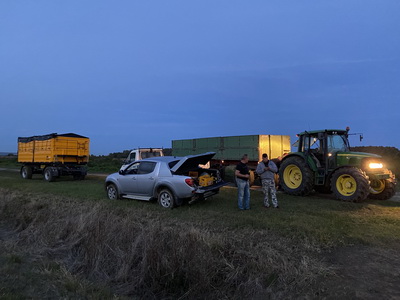p017.jpg