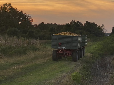 p018.jpg